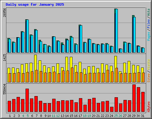 Daily usage for January 2025