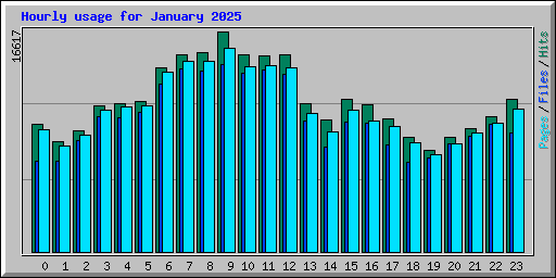 Hourly usage for January 2025