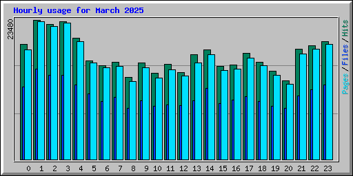 Hourly usage for March 2025