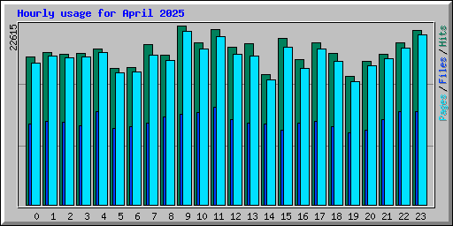 Hourly usage for April 2025