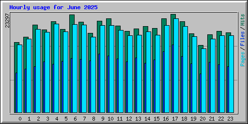 Hourly usage for June 2025