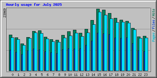 Hourly usage for July 2025