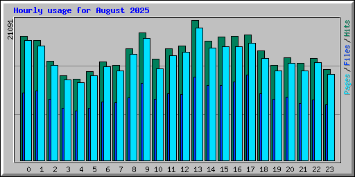 Hourly usage for August 2025