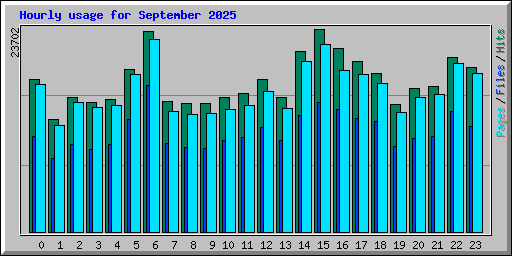Hourly usage for September 2025