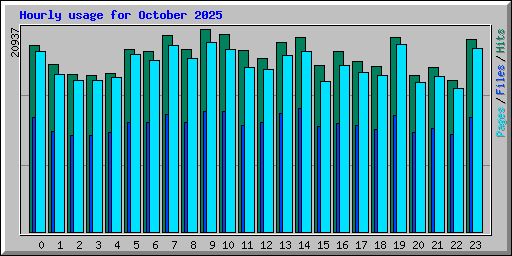 Hourly usage for October 2025