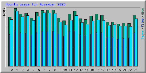 Hourly usage for November 2025