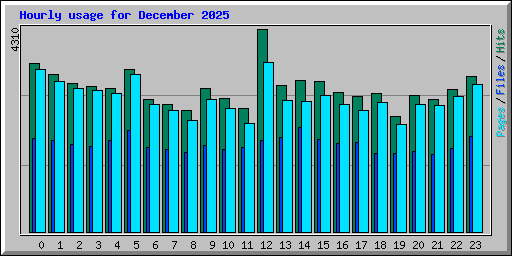 Hourly usage for December 2025