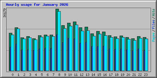 Hourly usage for January 2026
