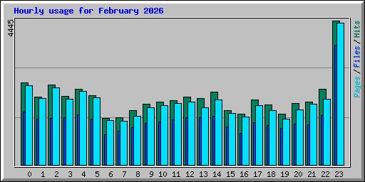 Hourly usage for February 2026
