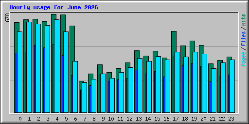 Hourly usage for June 2026