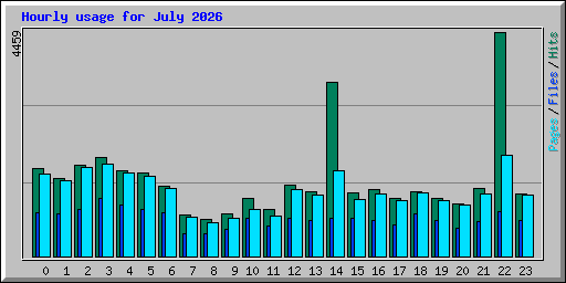 Hourly usage for July 2026