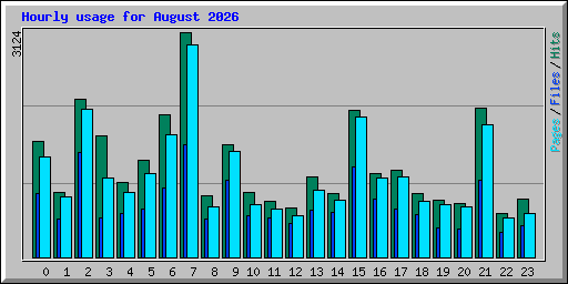 Hourly usage for August 2026